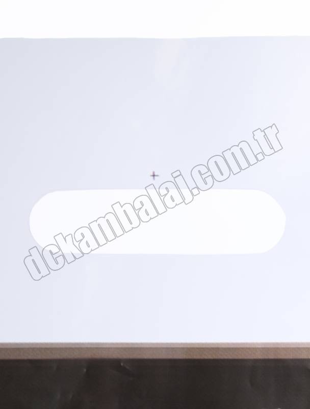 Resim Baskılı Mağaza Poşeti